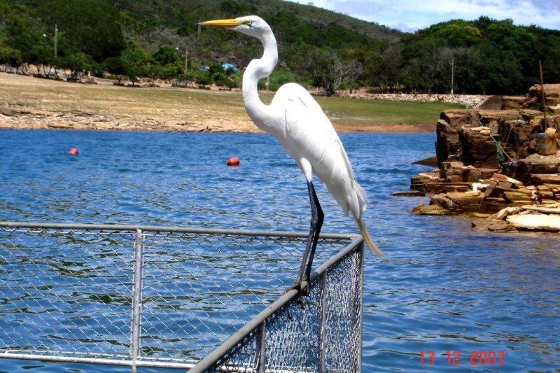 Pousada Araras Lago De Furnas Sao Jose da Barra Kültér fotó